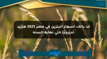 خد بالك: أسعار البنزين في مصر 2025 هتزيد تدريجيًا حتى نهاية السنة